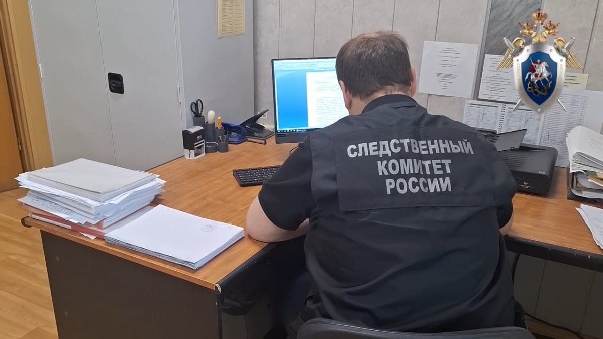 Психиатра из Нижегородской области посадили за взятку и подлог - фото 1