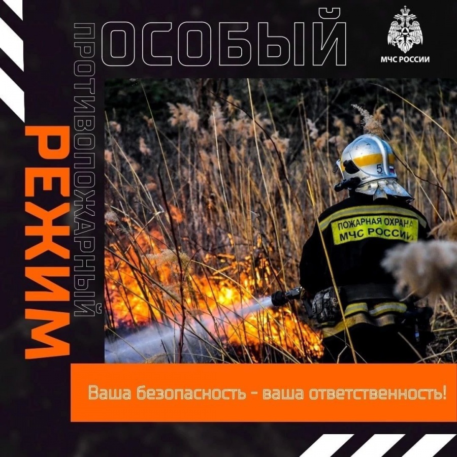 Особый противопожарный режим установлен в Нижегородской области - фото 1