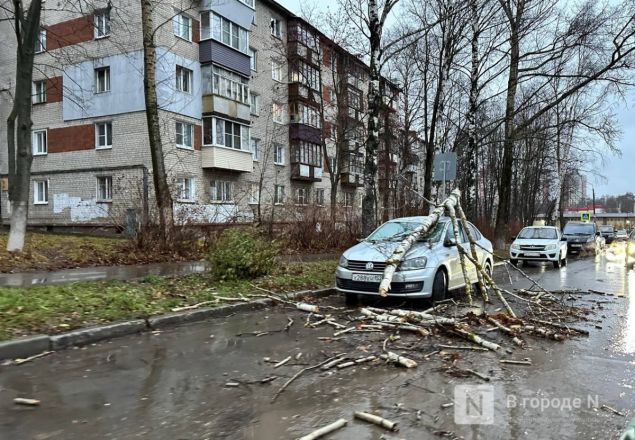 Ураган повалил деревья и заборы в Нижнем Новгороде: публикуем фото - фото 12