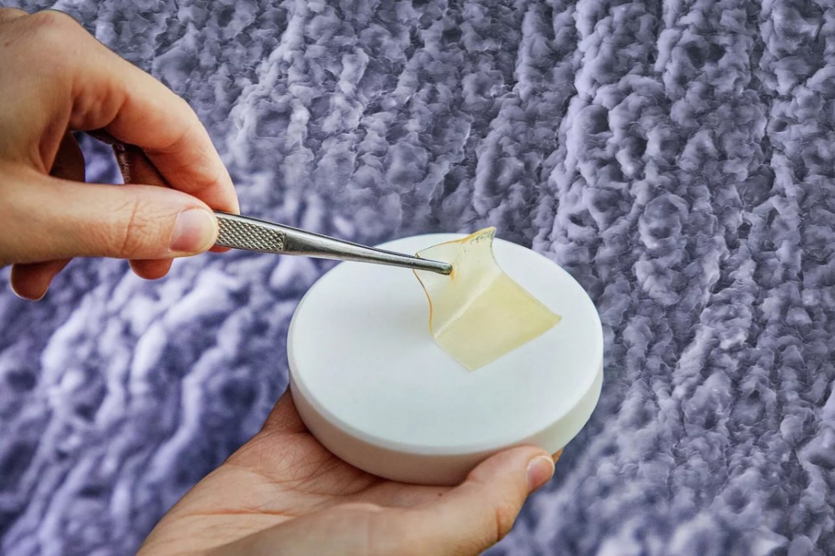 Нижегородские ученые создали покрытие из рыб, ускоряющее заживление ран - фото 1