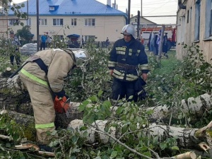 Из-за урагана в Первомайске и окрестностях остались без электричества более 350 домов