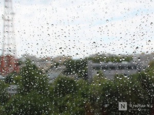 Грозы и дожди придут в Нижний Новгород в выходные