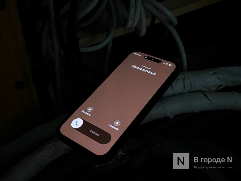 Нижегородцев предупредили о новом способе мошенничества: он связан с ДУКами - фото 1