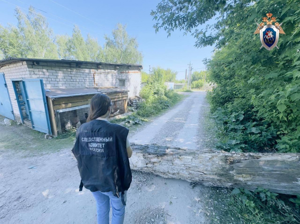 Раскрыты жуткие подробности гибели нижегородца из-за упавшего дерева - фото 1