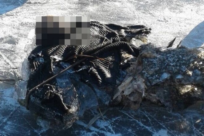 В Дзержинске спасатели три часа извлекали тело мужчины изо льда  - фото 1