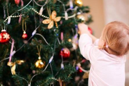 Откуда пришла традиция наряжать елку на Новый год