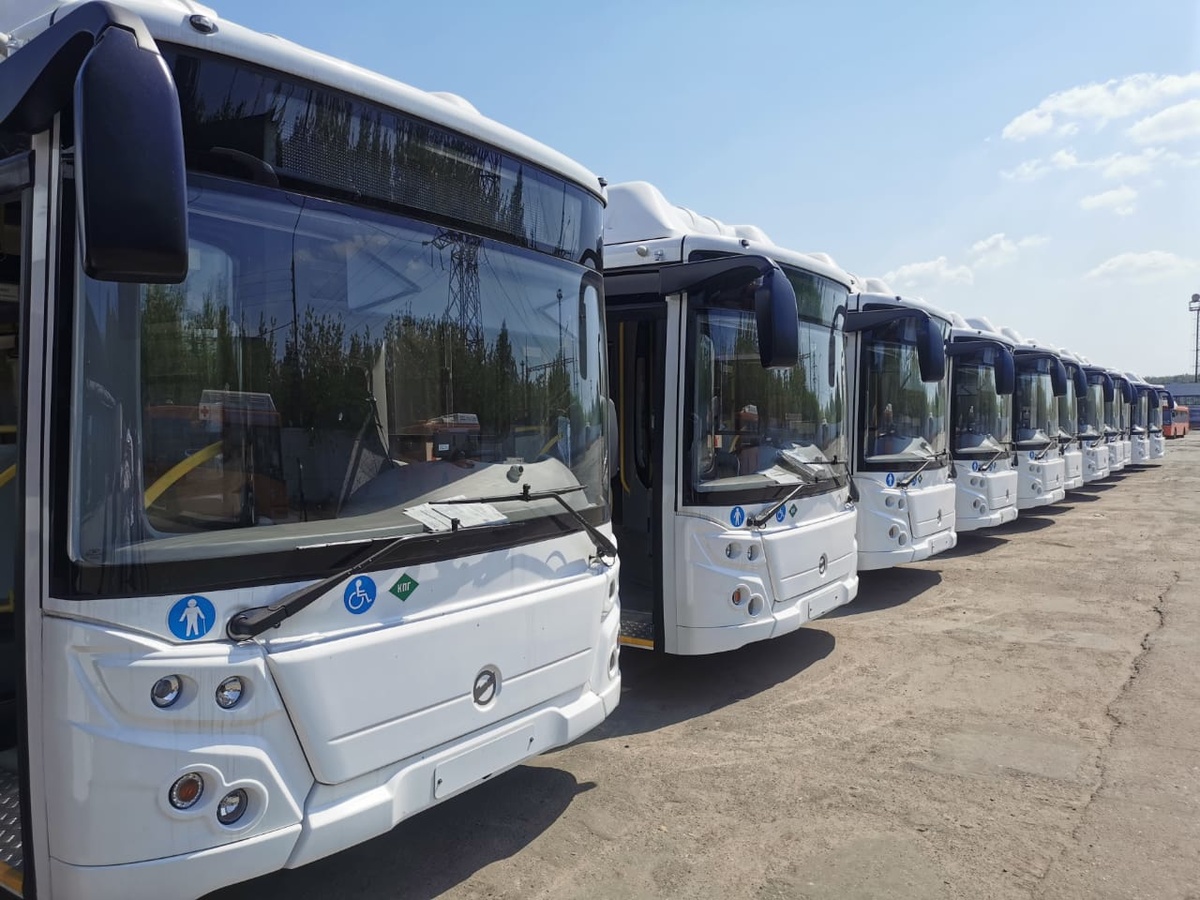 20 новых автобусов выйдут на маршруты Нижнего Новгорода - фото 1