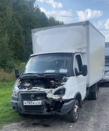 Водитель «ГАЗели» уснул за рулем и устроил ДТП в Нижегородской области - фото 1