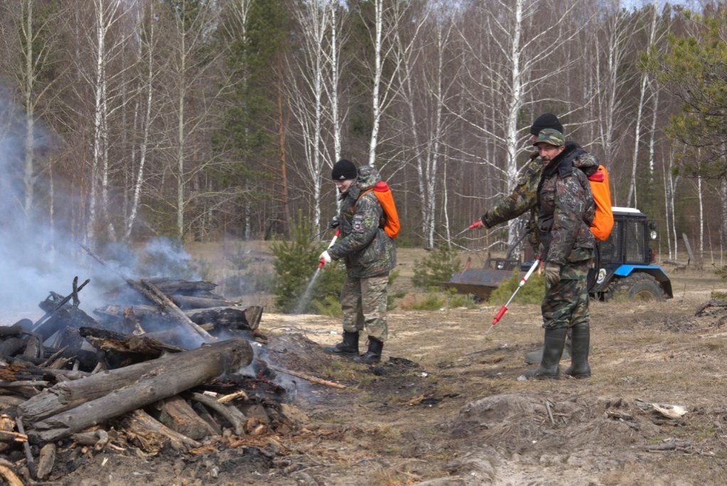 Пятый класс пожароопасности торфяников ожидается в Нижегородской области 19&mdash;21 июня - фото 1