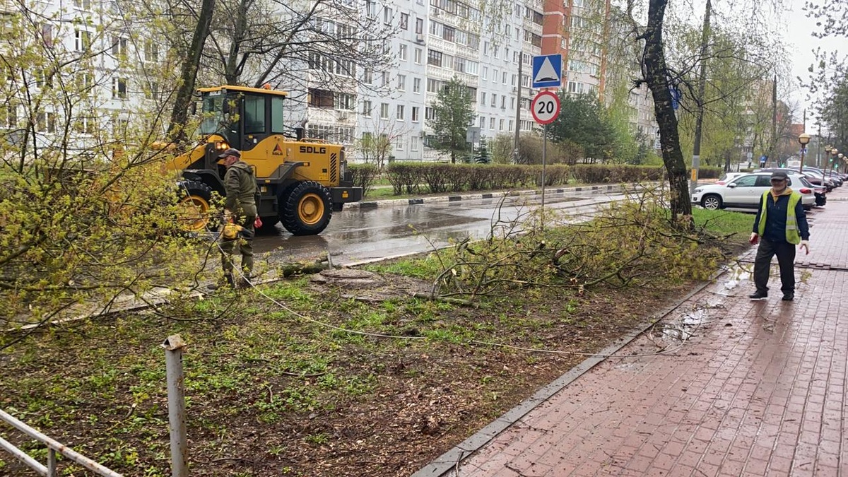 Порывистый ветер повалил дерево на дорогу в Советском районе