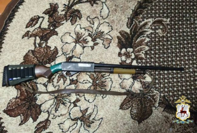 Две наркофермы и винтовку с патронами обнаружили у 41-летнего нижегородца - фото 10