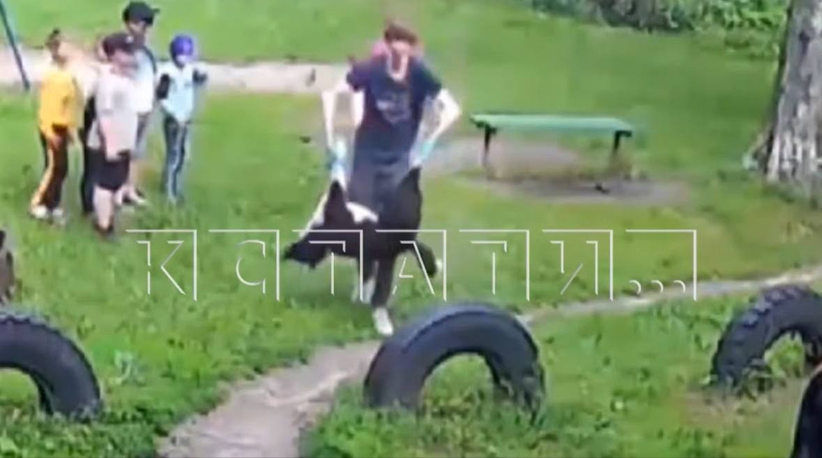 Служба отлова застрелила собаку на глазах у детей в Нижегородской области - фото 1