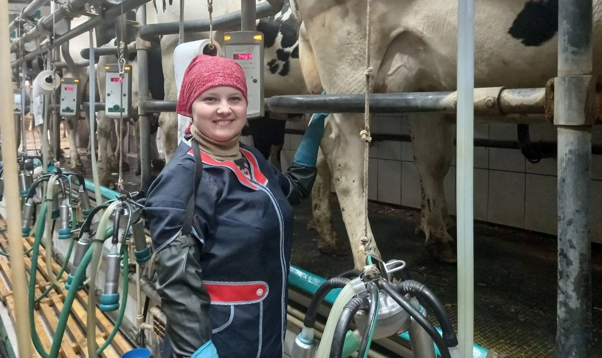 Лучшие нижегородские доярки с одной коровы получают за год свыше 13 тысяч килограмм молока - фото 1