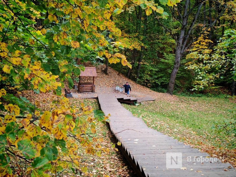 Та самая пушкинская осень: уютный фоторепортаж из Большого Болдина - фото 41