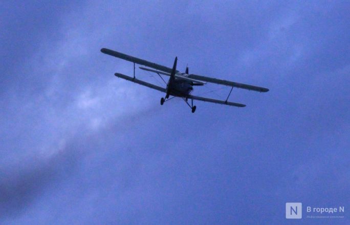 Безруков, шоу Авербуха и шикарный салют: как прошел День Победы &mdash; 2025 в Нижнем Новгороде - фото 15