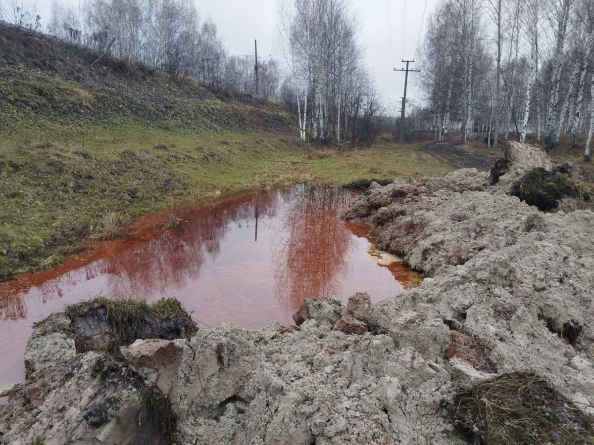 Режим повышенной готовности введен в Кстовском районе из-за экологического ЧП - фото 1
