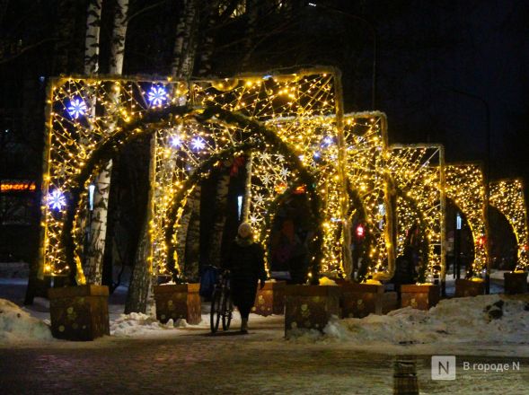 Пингвины, карусель и лунный каток: карта самых атмосферных новогодних локаций Нижнего Новгорода - фото 117